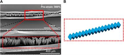 Hierarchical buckling of elastic fiber under transverse confinement